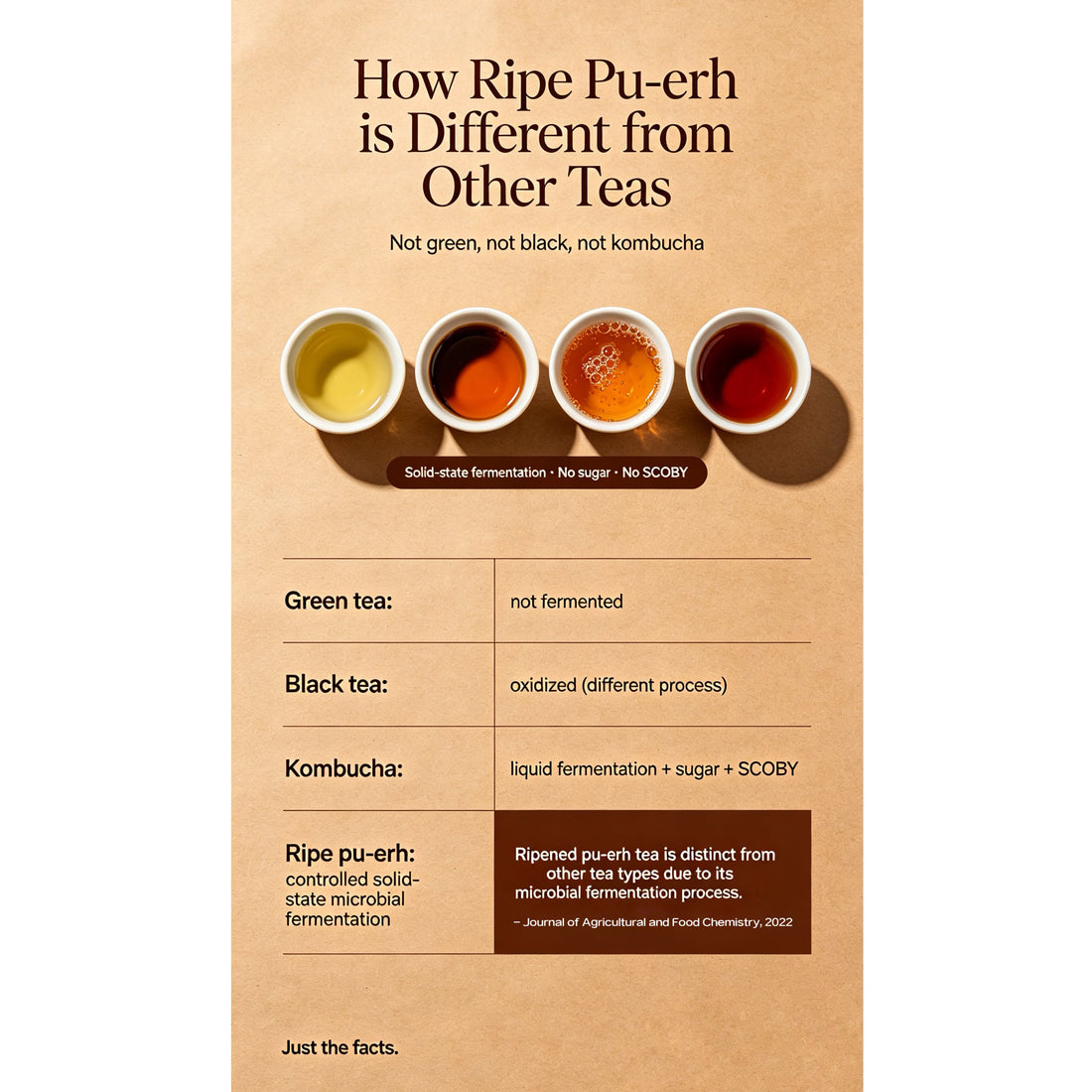 Fermentation vs Oxidation: Why the Difference Matters in Ripe Tea