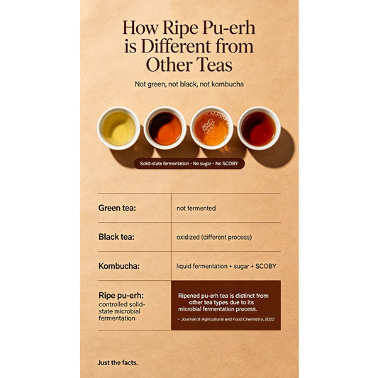 Fermentation vs Oxidation: Why the Difference Matters in Ripe Tea