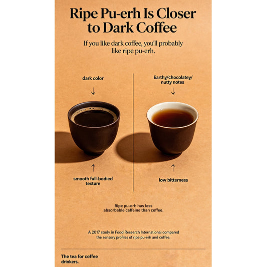 Why Ripe Tea Tastes Smooth, Dark, and Earthy