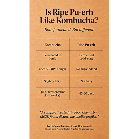 Why Ripe Tea Is Different From Kombucha